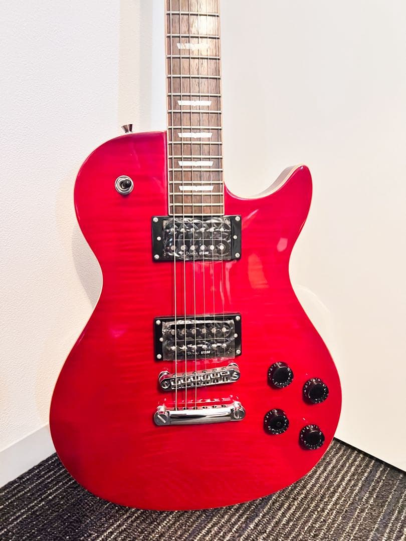超美品 Washburn Electric Guitar WinProFTR - メルカリ