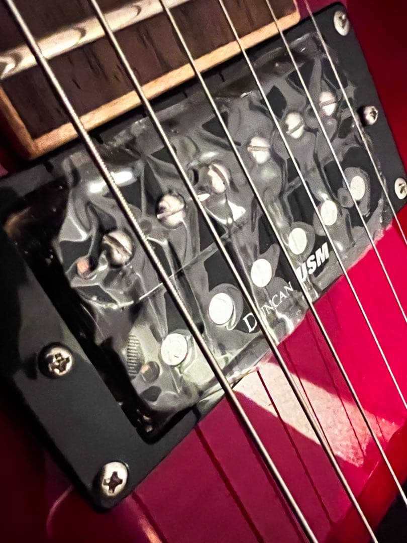 超美品 Washburn Electric Guitar WinProFTR - メルカリ