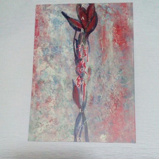 黒木メイサ　直筆サイン　調教師　2005年 パンフレット　美品