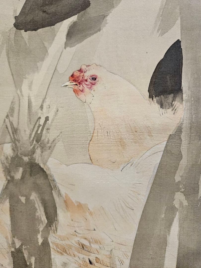 渡辺省亭 鶏図 花鳥画 菊池容斎師事 絹本 骨軸先