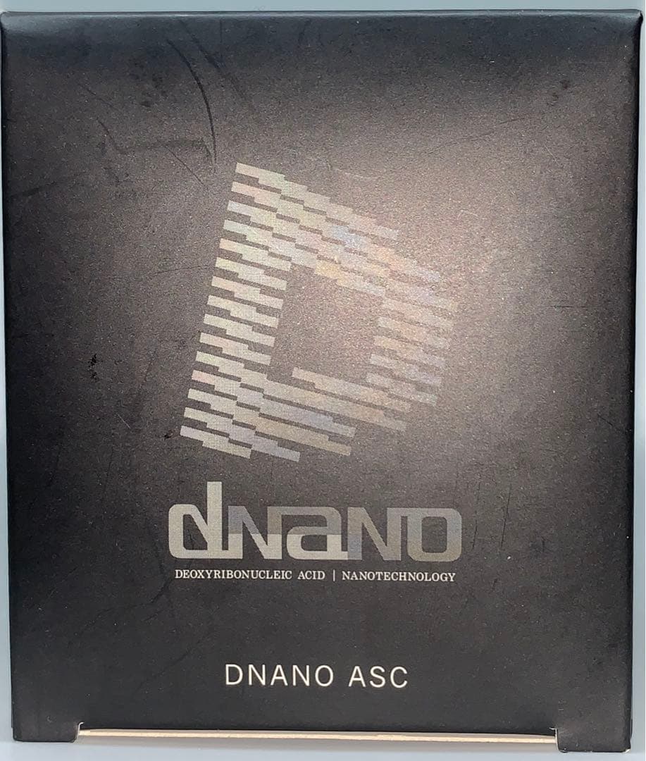 希少 京商 dNaNo オートスケール 日産 スカイライン GT-R R34