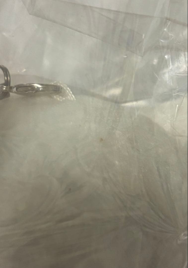 Lamento ラメント ライ Gift ぬいぐるみ ストラップ