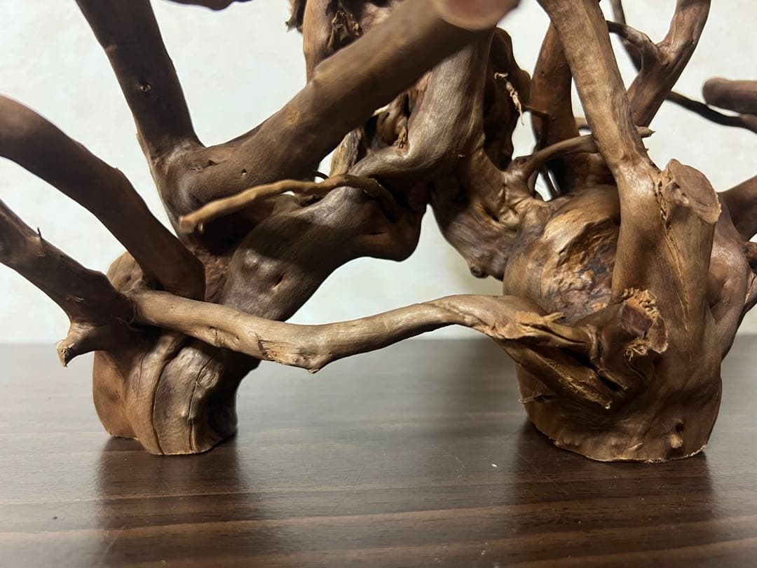 32205 ブランチウッド 流木 アクアリウム 沈水確認済