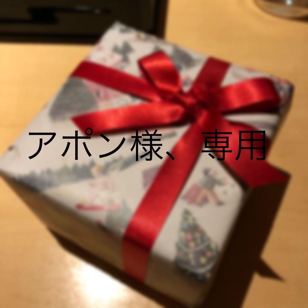 アポン Apocalypse AP-M81SE | 8