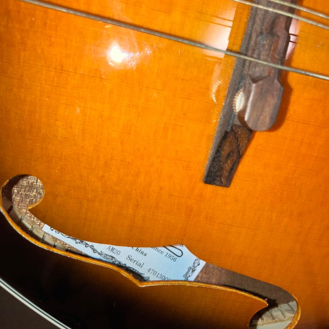 【美品】アリア マンドリン MANDOLIN ARIA AM-20 弦楽器