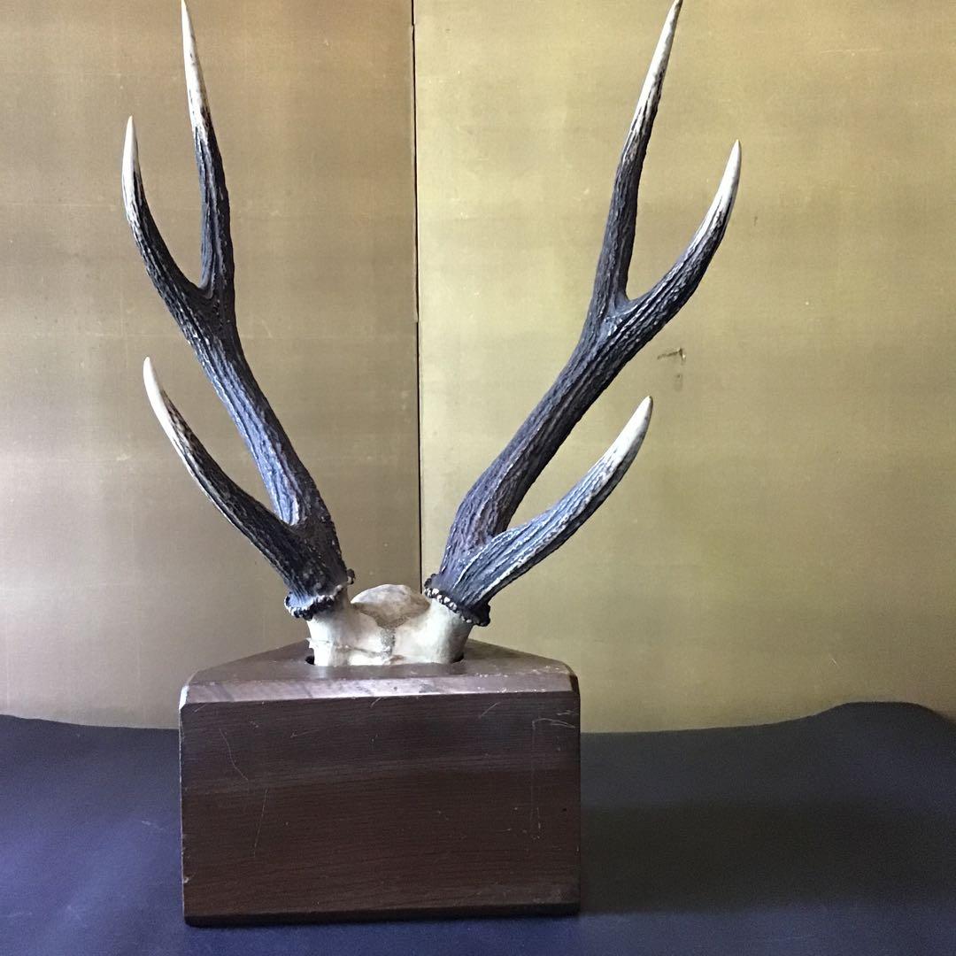 刀掛　日本本州鹿角製