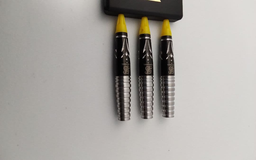 限定価格!サングリアル!坂口優希恵!極美品!新品同品!付録未開封!ダーツ