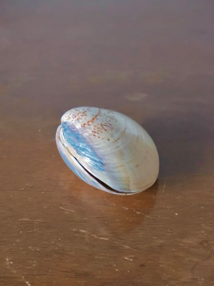 加陽 一瓢斎 源氏貝合せ 鶴色絵 蛤香合 茶道具 香道具 箱付 Q2257