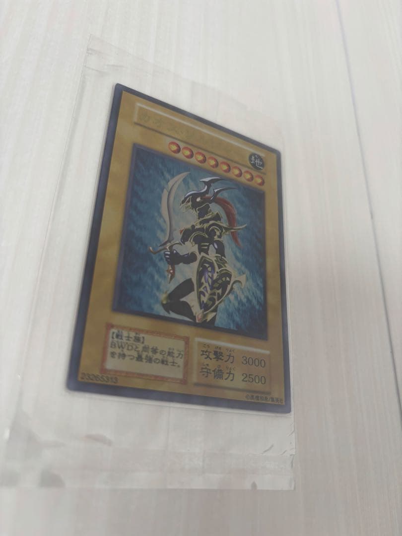 める　遊戯王　ステンレス 観賞用