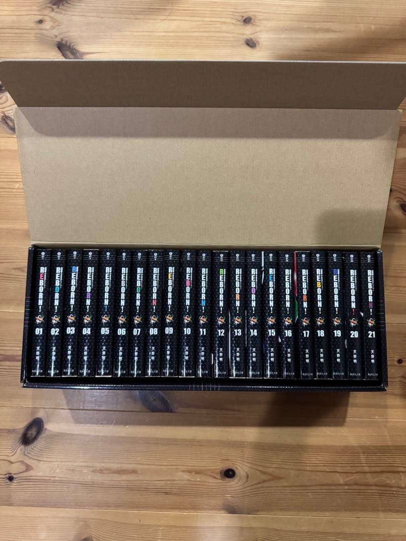 家庭教師ヒットマンREBORN 文庫版 ケース付き