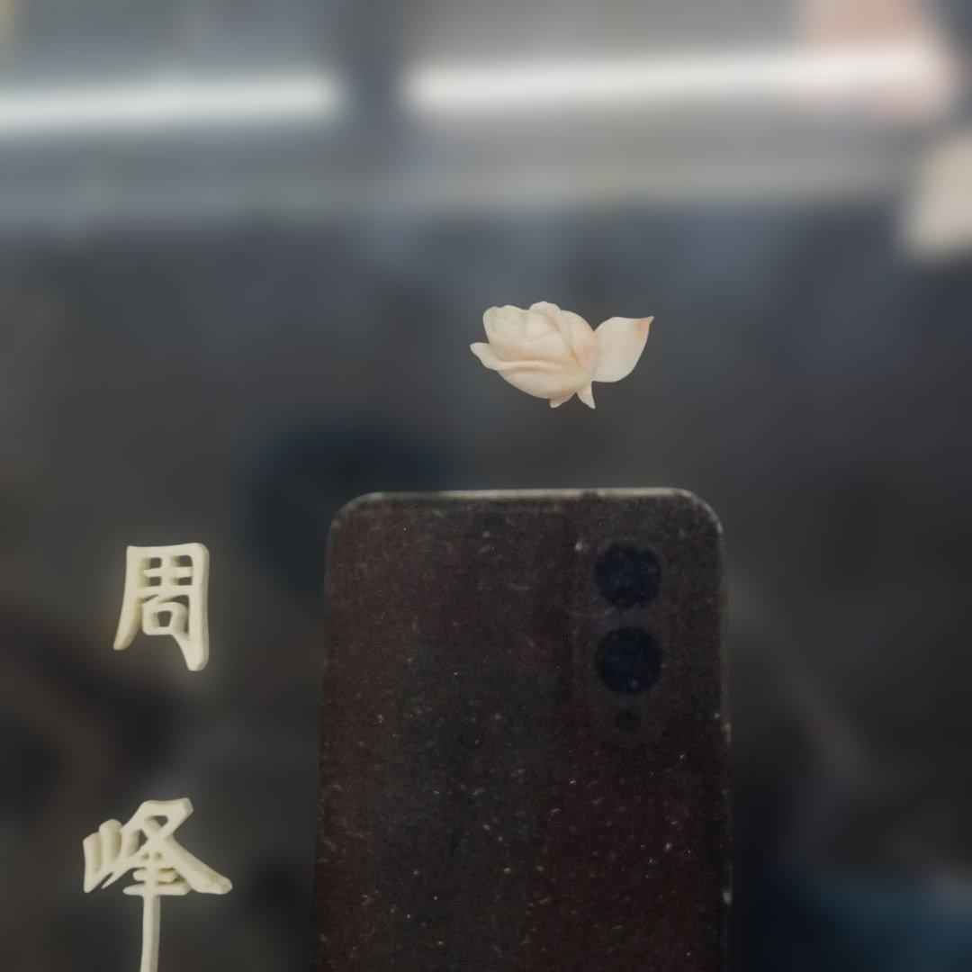 3985）周峰 珊瑚の彫刻の額 薔薇