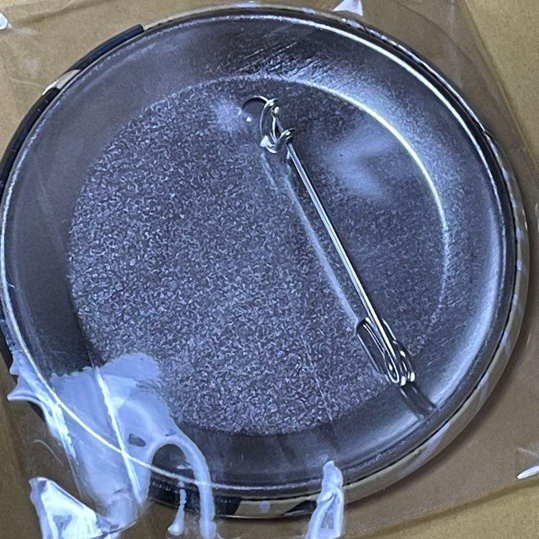 1点 凸守早苗 劇場版 中二病でも恋がしたい 闇缶バッジ 小鳥遊六花・改