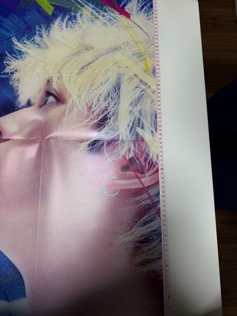 高橋文哉眞栄田郷敦桜田ひより板垣李光人　ブルーピリオド サイン入りポスター