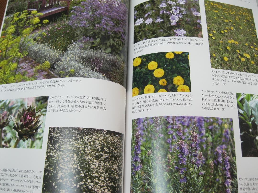 薬草ガーデン講座テキスト①～⑤＋薬用植物事典 日本園芸協会