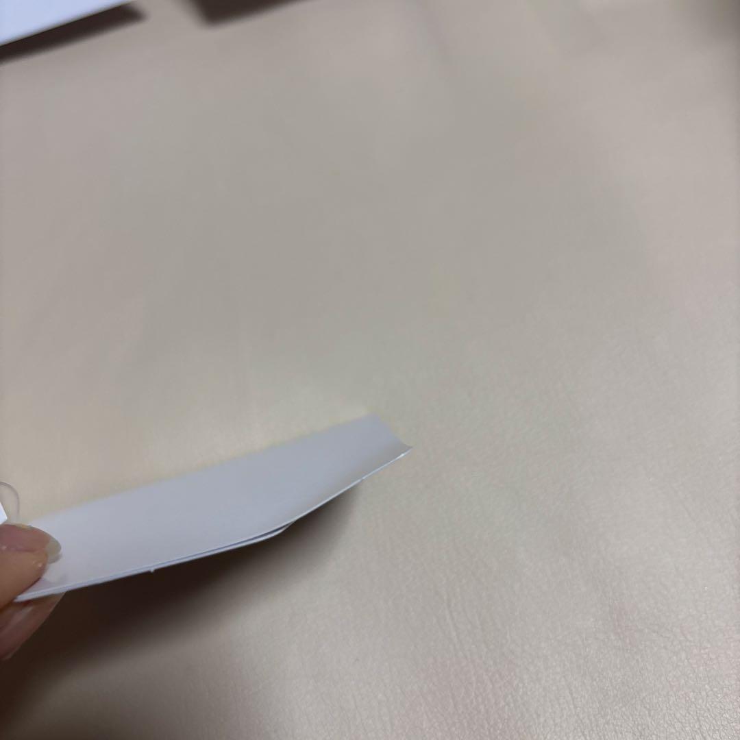 シークレット・オブ・スノーウィーデイ　ぬいばセット　新品　タグ折れ　コンプリート