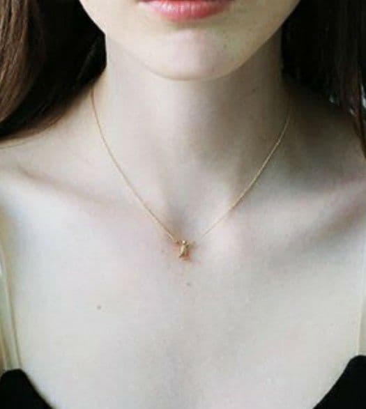 学術標本 種名ニホンジカ 胎児（♂）頭胴長約75mm 70％エタノール