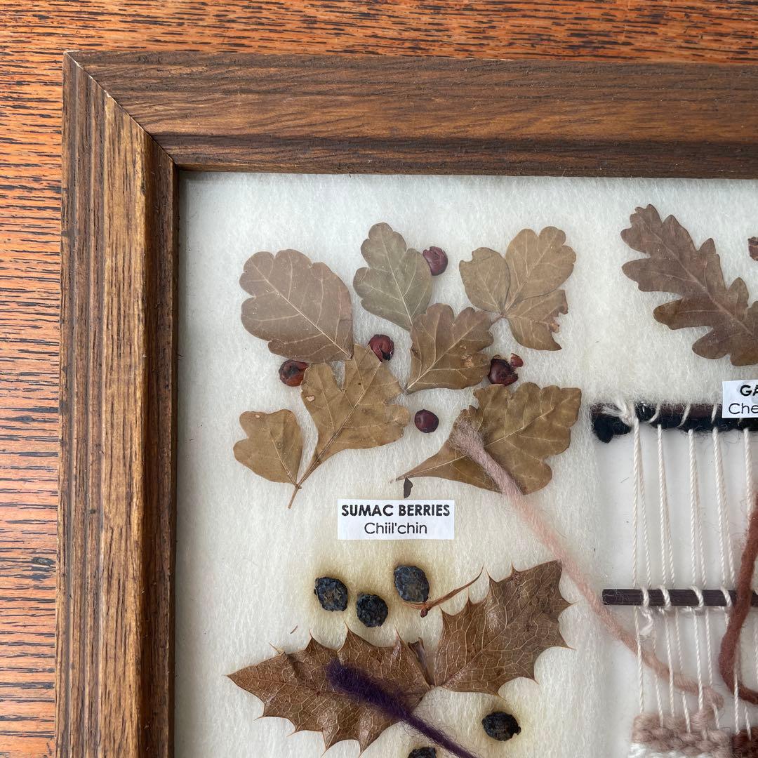 ネイティブアメリカン ナバホ族 草木染め 色見本 オルテガ 毛織物 額装