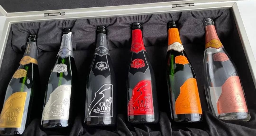 ソウメイ アタッシュケース 空瓶6本入