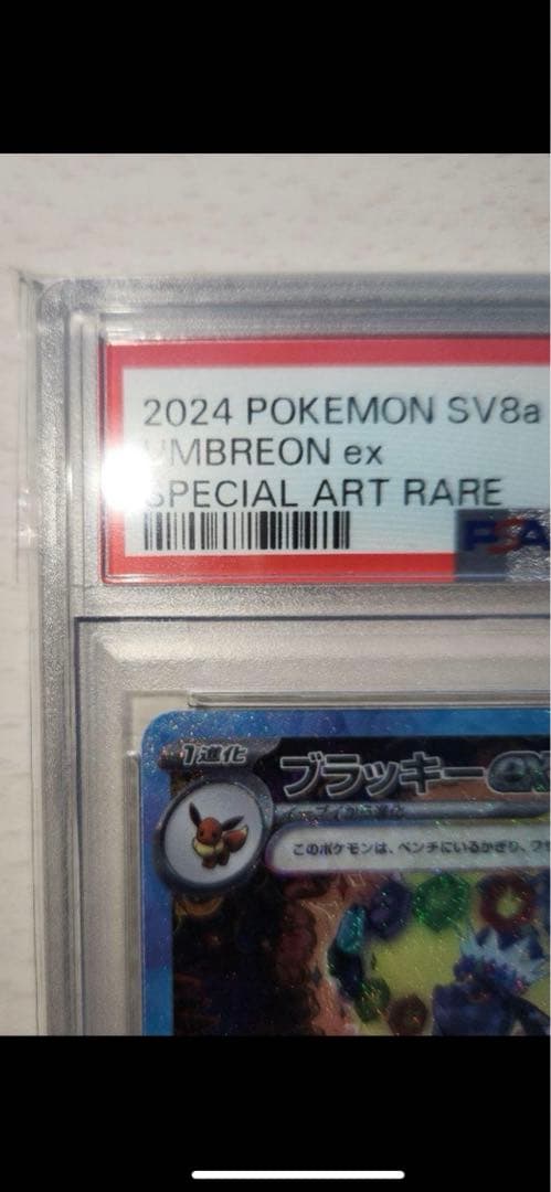 ブラッキーex SAR psa10 テラスタルフェス