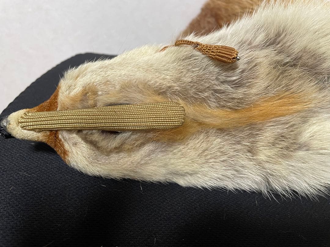 キツネの剥製マフラー