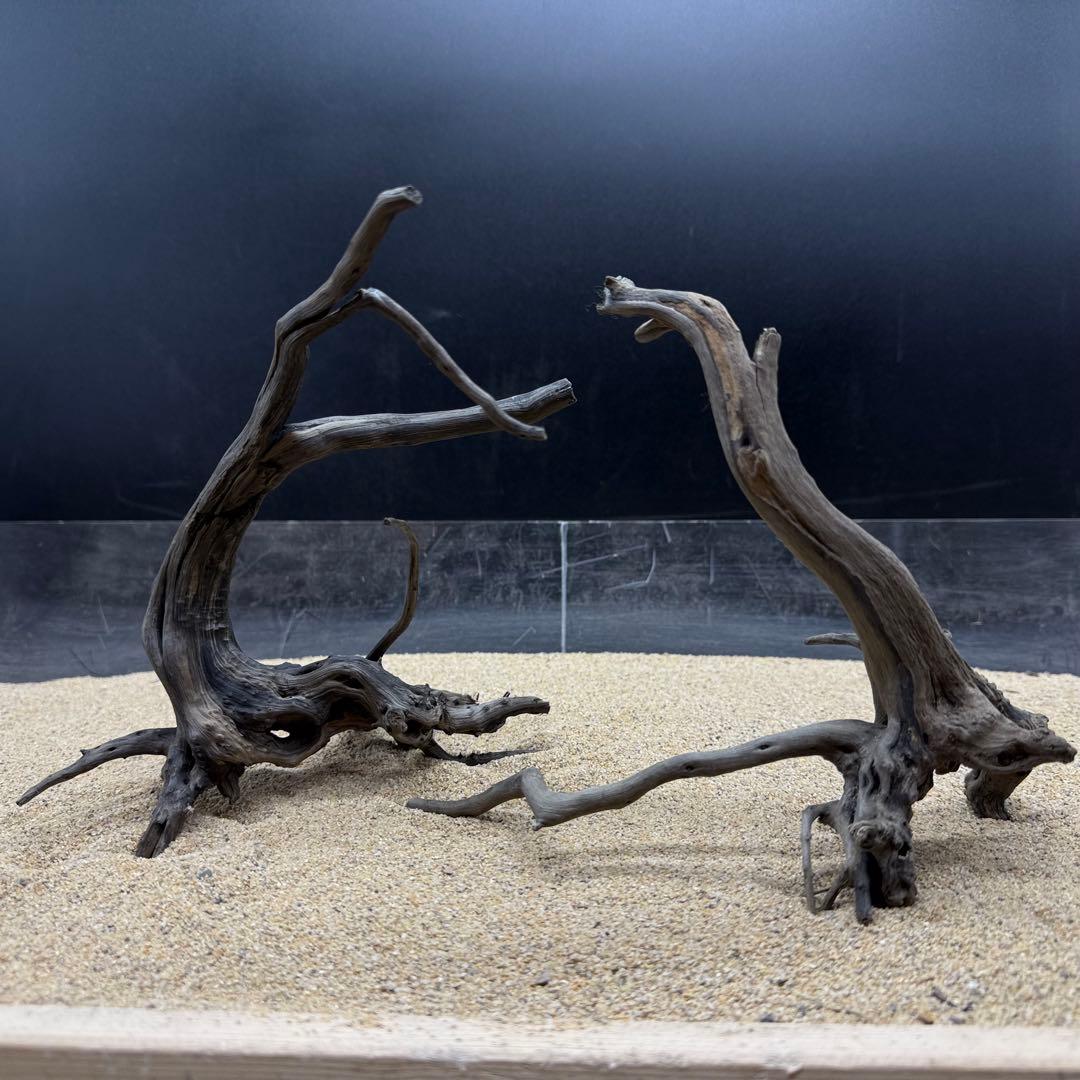 MDW-7246 ブランチウッド(ブラック)2本セット 枝流木 アクアリウム