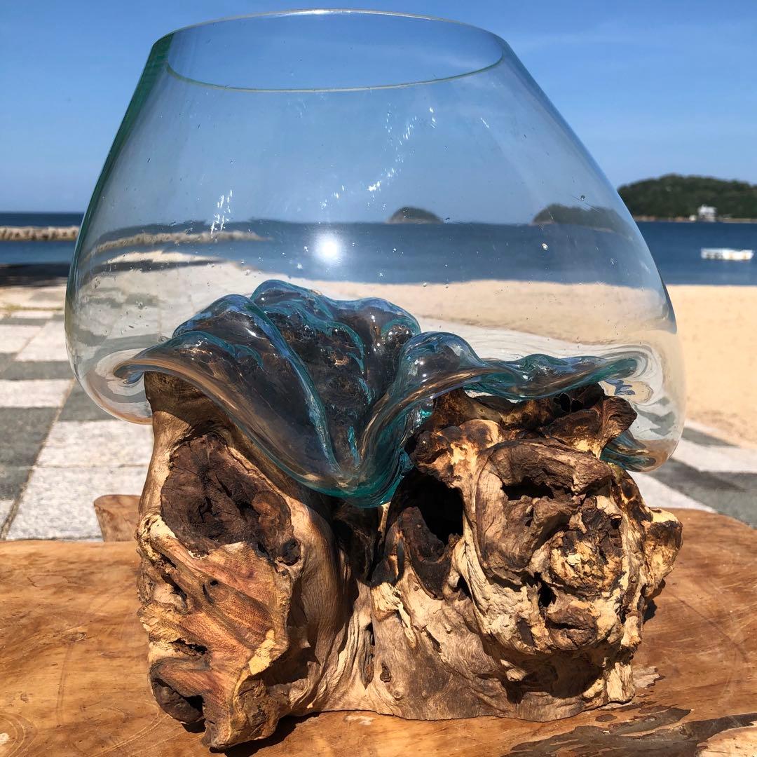 流木ガラス オブジェ中O 花瓶 金魚鉢 ガーデニング テラリウム 観賞魚 容器