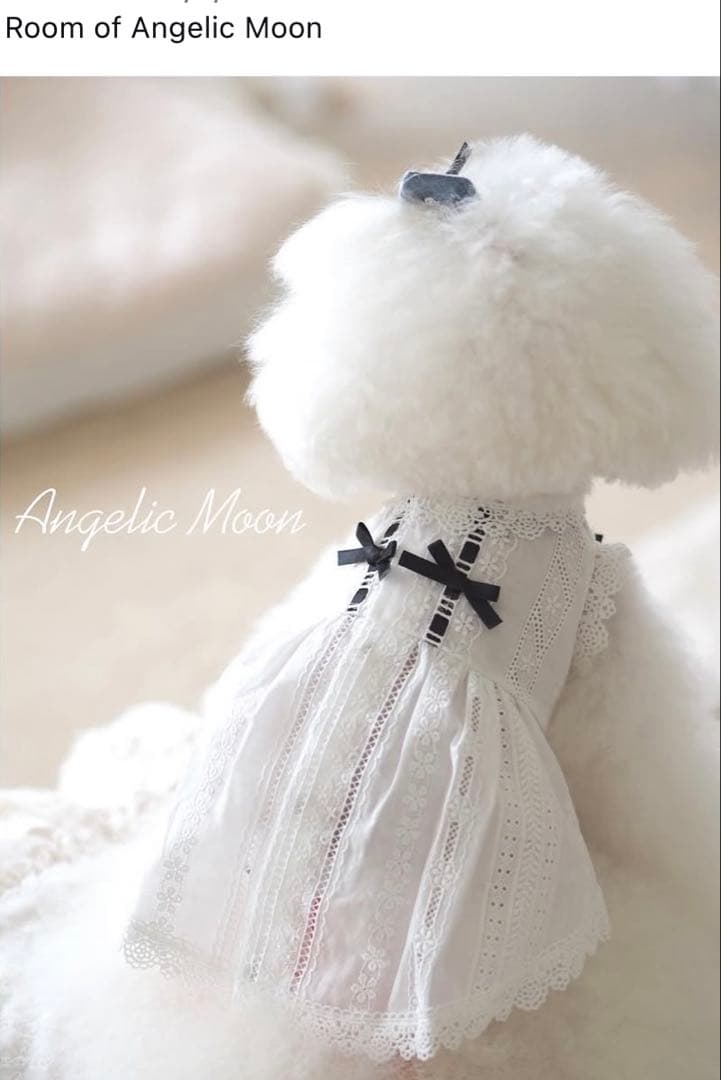 アンジェリックムーン 上品なコットンレースワンピース アンジェリック