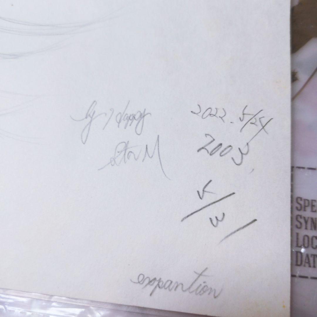 ❤超美人★手書き美人イラスト(220602)★配送無料