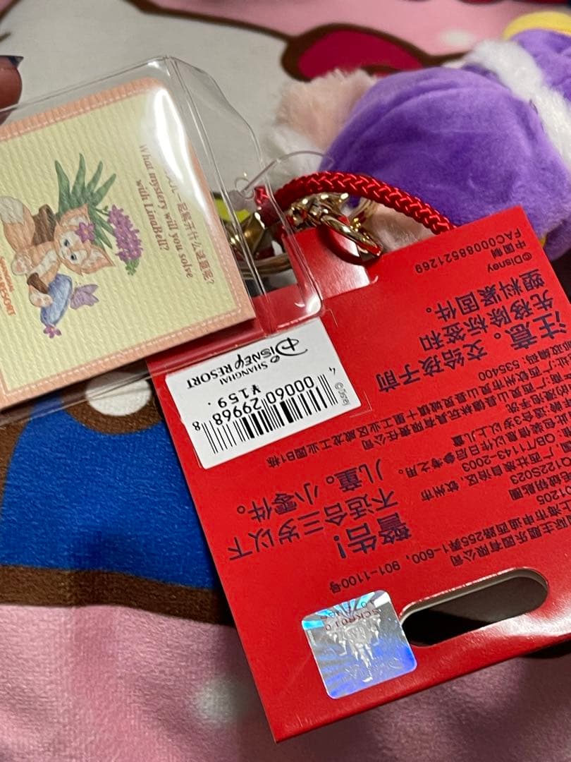上海ディズニーランド 2022正月寅年 リーナベル とキーチェーン 写真の子