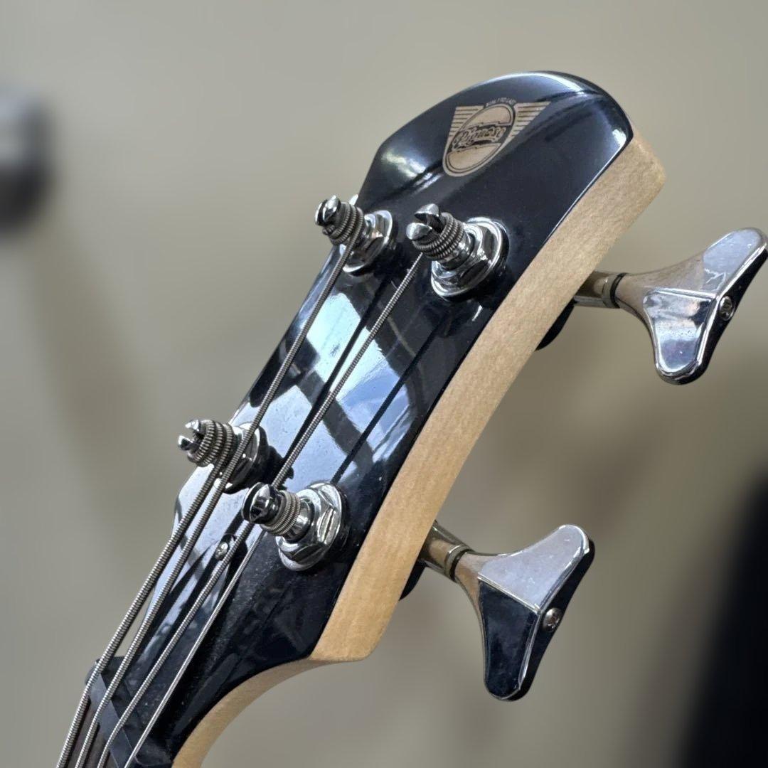 E209】Pignose ピグノーズ USA エレキギター ケース付き