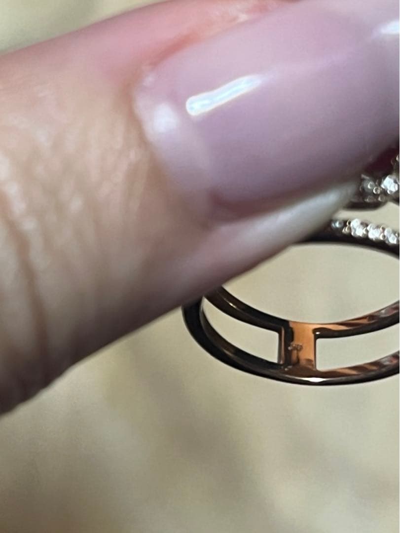 櫻井彩子さん購入　アリアーレ