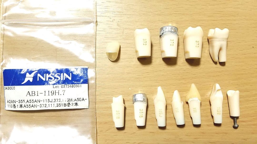 NISSIN DENTAL MODEL 顎模型 歯石セット セット売り