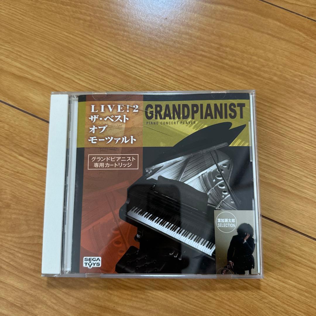 【動作確認済み 稀少品】セガトイズ グランドピアニスト ピアノ おもちゃ