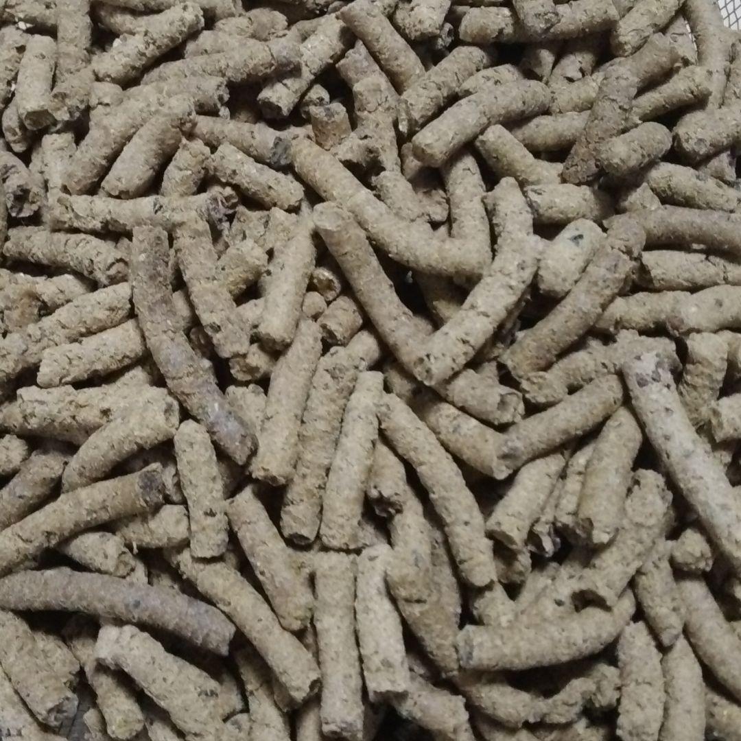 カムイピリカ3.2kg(1.6kg×2袋)一生一度は与えたい神フード