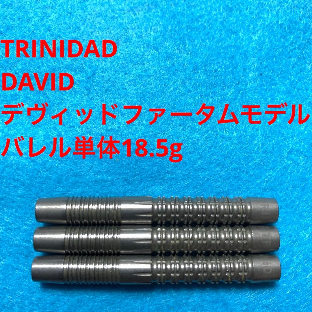 デヴィッド・ファータム TRINIDADトリニダード DAVID定価11000円 1_035003000023_3.jpg