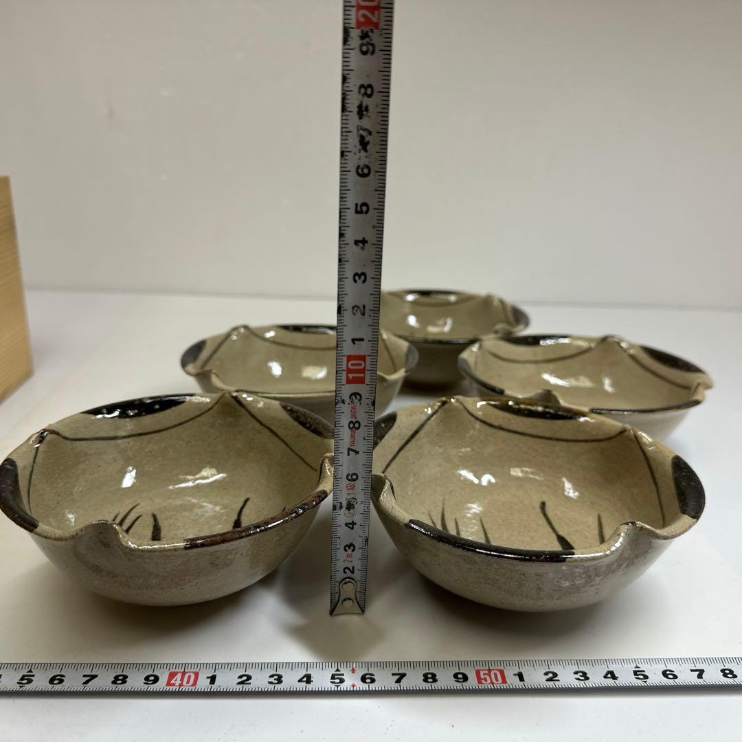 十三代　太郎右衛門窯　絵唐津向付5客　幅約12.8㎝　共箱　東さ7-0414③