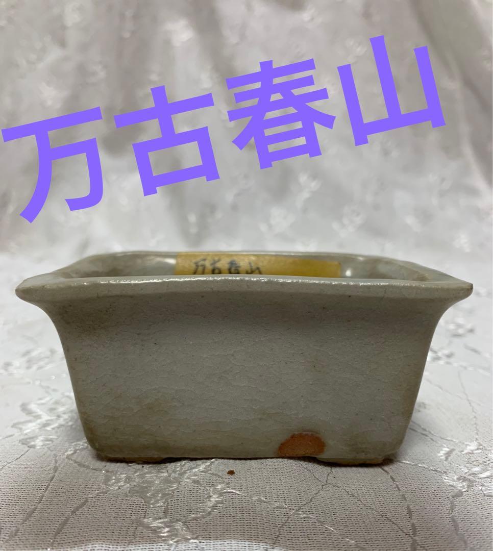 万古春山　長方　盆栽鉢 万古春山 長方 盆栽鉢 万古春山 長方 盆栽鉢
