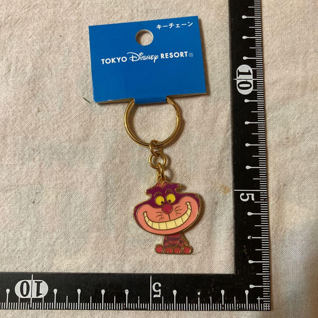 キーホルダー　チェシャ猫　アリス　ディズニーリゾート　新品未使用