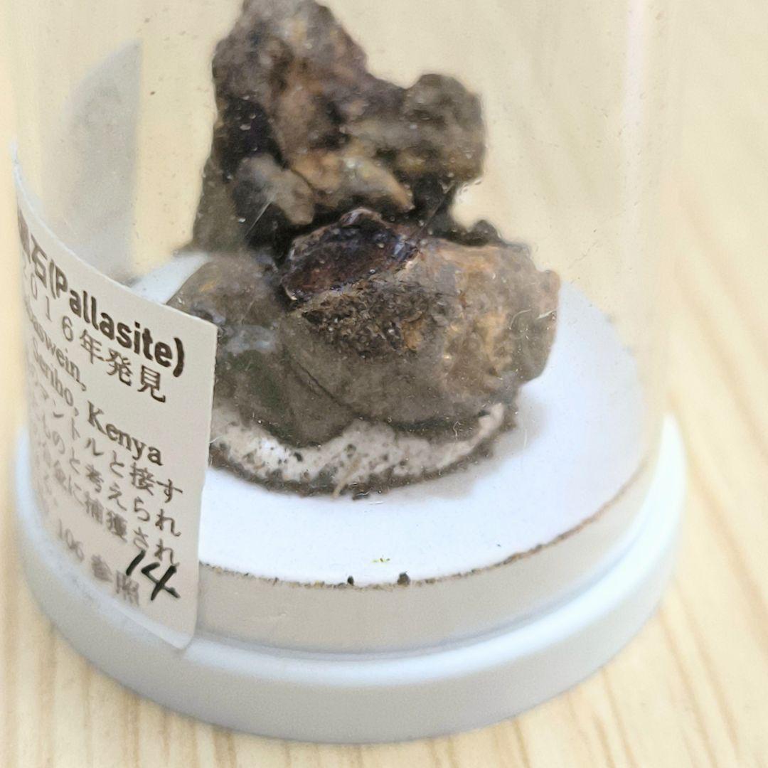 希少】パラサイト石鉄隕石 (Pallasite) 標本 Sericho