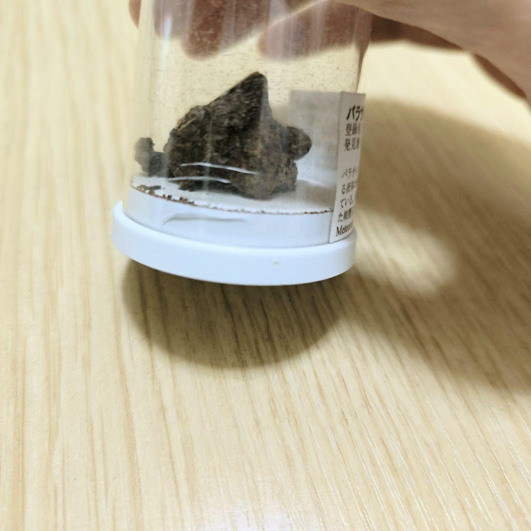 希少】パラサイト石鉄隕石 (Pallasite) 標本 Sericho