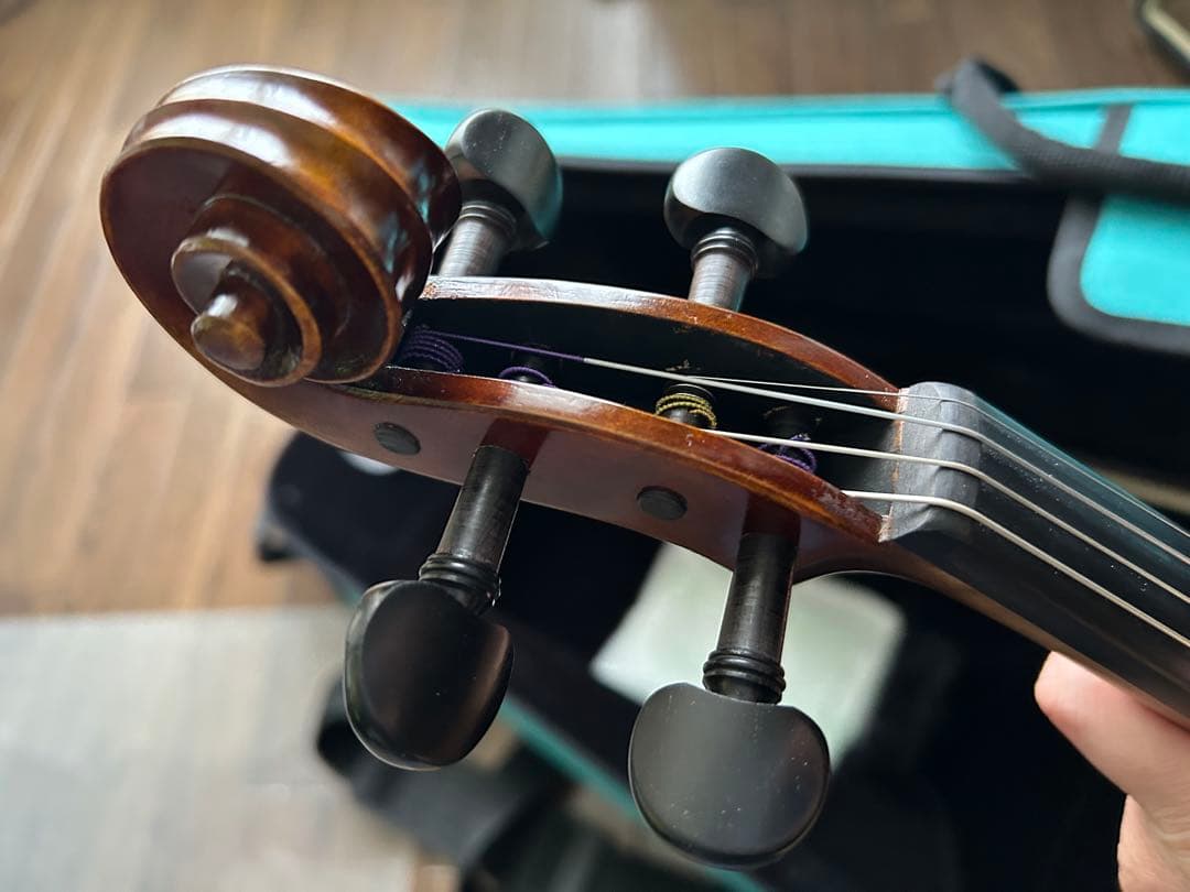 レイニ　Pretorio EV-300