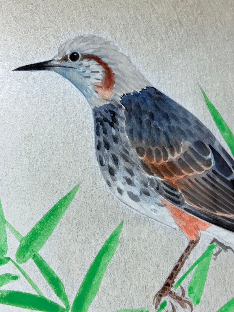 鳥」 野々内保太郎 絵画 日本画 黄色袋 箱あり