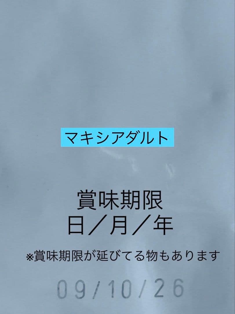  CANIN マキシアダルト 16kg