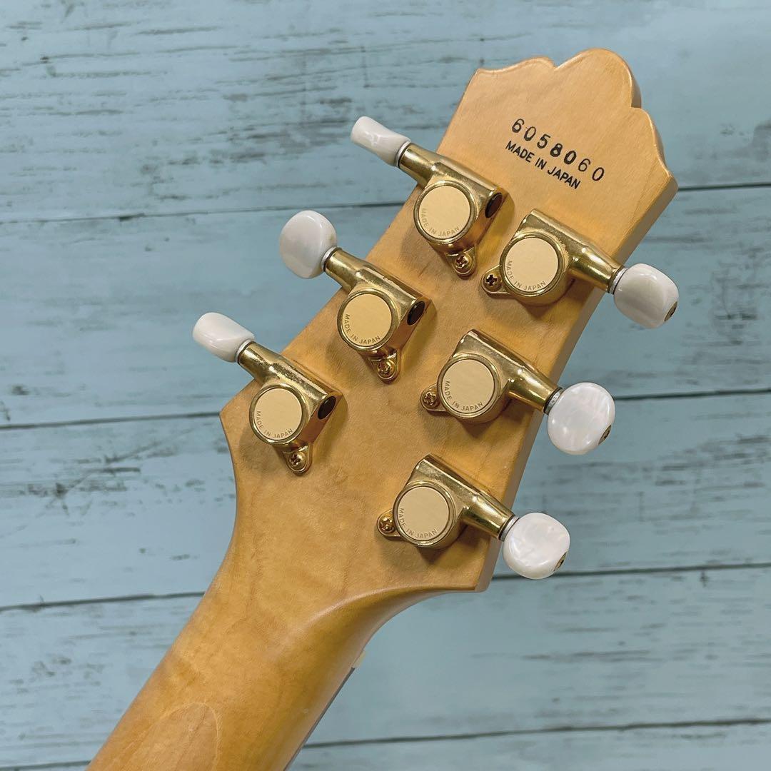 Anboy(FUJIGEN) AF-55C FUJIGEN フジゲン F&C Anboy AF-55C Ashfield