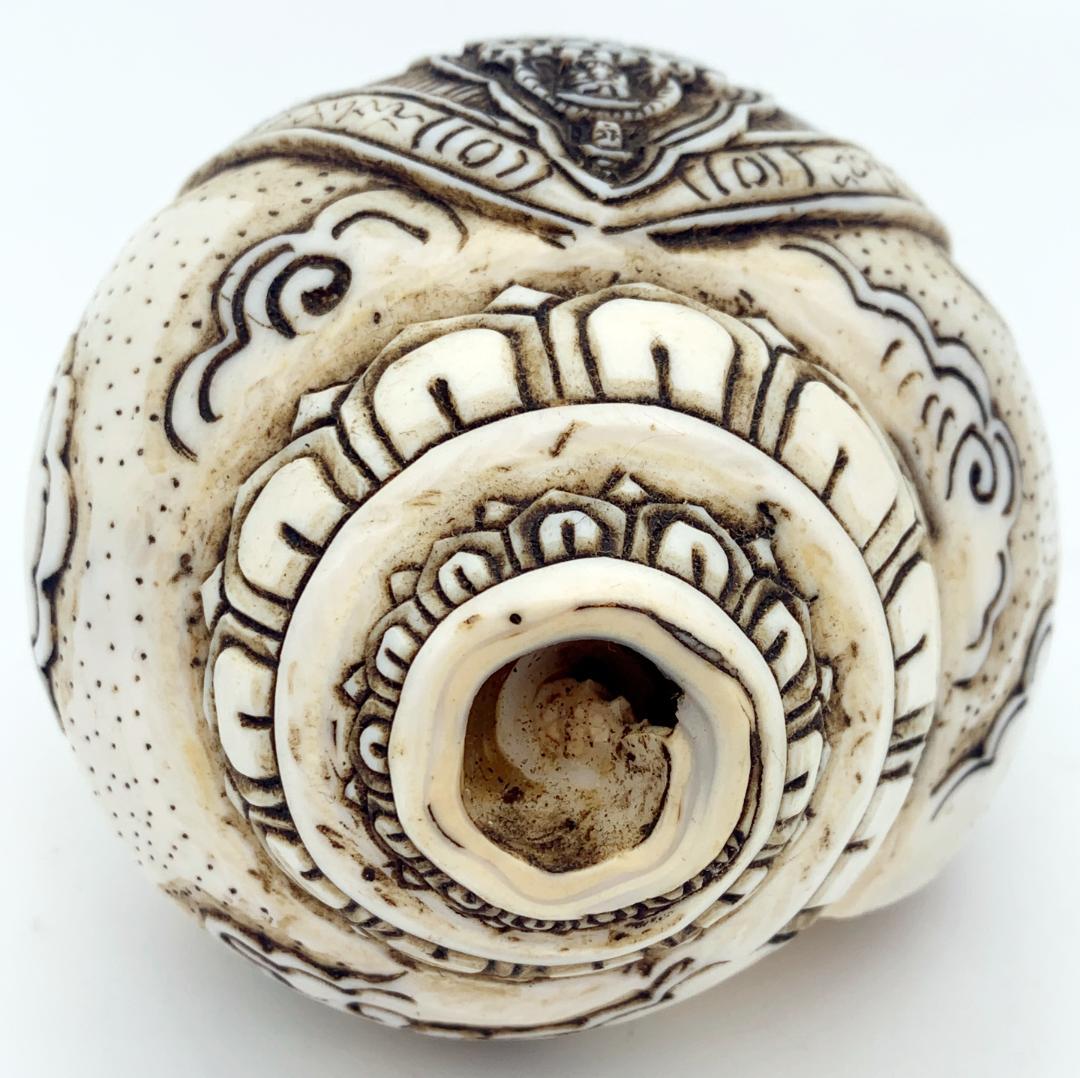 ◇チベット密教法具 法螺貝（シャンカ）十一面千手千眼観音菩薩-