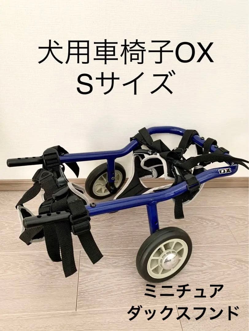 pockypocky様専用ページ□小型犬用4輪犬の車椅子 犬の歩行器+