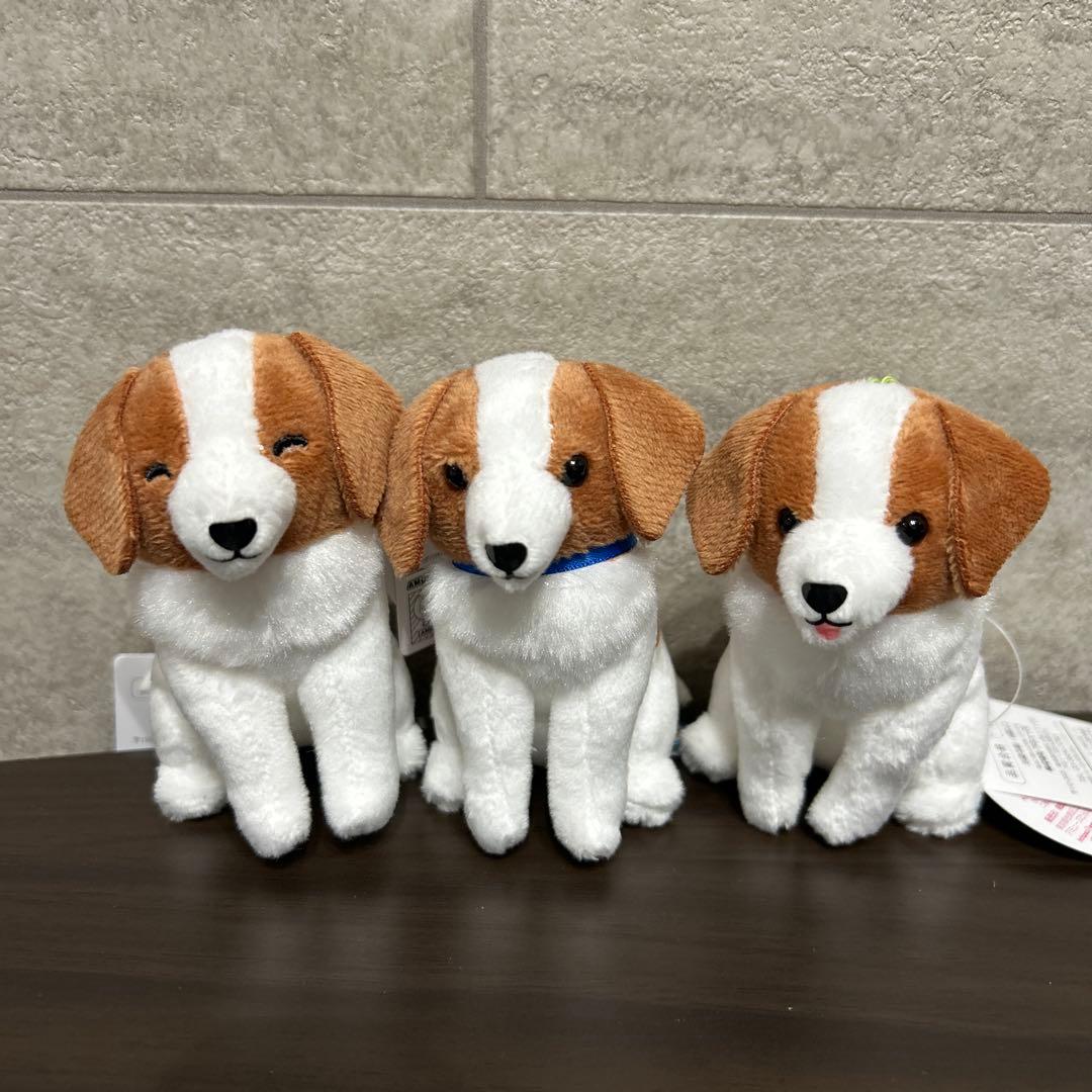 コーイケルホンディエのおでこちゃん おすわり VMCコンプリート 大谷翔平