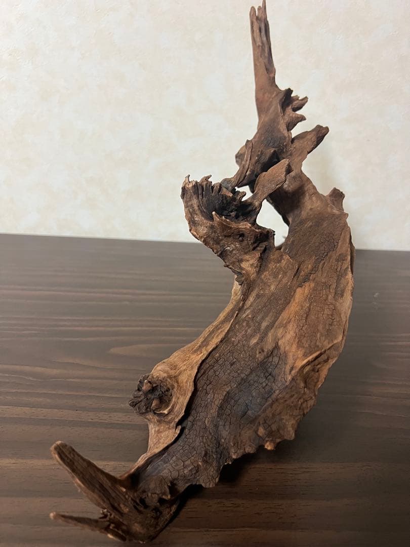 HX-057流木 マシンガンウッド ホーンウッド アクアリウム ブランチウッド