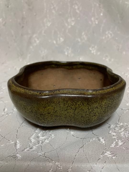 獅子丸 盆栽鉢の通販はau PAY マーケット - 輸入雑貨のネットストア Co