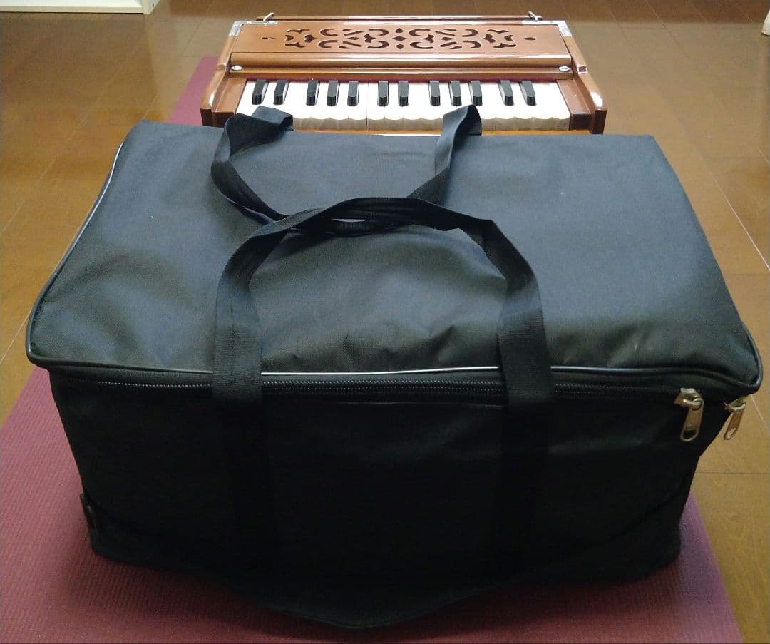 ハルモニウム30鍵盤【RAGA】最終値下げ - メルカリ